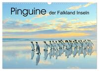 Pinguine der Falkland Inseln (Wandkalender 2025 DIN A3 quer), CALVENDO Monatskalender