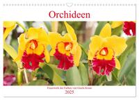 Orchideen Feuerwerk der Farben (Wandkalender 2025 DIN A3 quer), CALVENDO Monatskalender