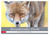 Bezaubernder Fuchs - ein Freund auf leisen Sohlen (Wandkalender 2025 DIN A2 quer), CALVENDO Monatskalender