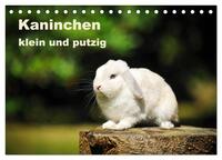 Kaninchen klein und putzig (Tischkalender 2025 DIN A5 quer), CALVENDO Monatskalender