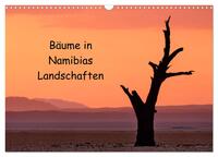 Bäume in Namibias Landschaften (Wandkalender 2025 DIN A3 quer), CALVENDO Monatskalender