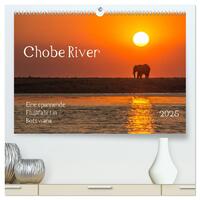 Chobe River - Eine spannende Flussfahrt in Botswana (hochwertiger Premium Wandkalender 2025 DIN A2 quer), Kunstdruck in Hochglanz