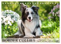 Border Collies - nicht nur schwarzweiß (Tischkalender 2025 DIN A5 quer), CALVENDO Monatskalender