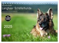 Zauberhafte Langhaar Schäferhunde (Tischkalender 2025 DIN A5 quer), CALVENDO Monatskalender