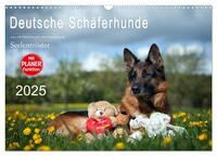 Deutsche Schäferhunde Seelentröster (Wandkalender 2025 DIN A3 quer), CALVENDO Monatskalender