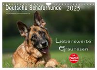 Deutsche Schäferhunde - Liebenswerte Graunasen (Wandkalender 2025 DIN A4 quer), CALVENDO Monatskalender