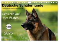 Deutsche Schäferhunde - Senioren auf vier Pfoten (Wandkalender 2025 DIN A4 quer), CALVENDO Monatskalender