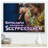 Hippocampus oder einfach nur Seepferdchen (hochwertiger Premium Wandkalender 2025 DIN A2 quer), Kunstdruck in Hochglanz