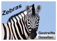 Zebras - Gestreifte Gesellen (Wandkalender 2025 DIN A2 quer), CALVENDO Monatskalender