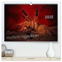 Mystische Vogelspinnen (hochwertiger Premium Wandkalender 2025 DIN A2 quer), Kunstdruck in Hochglanz