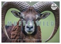 Emotionale Momente: Muffelwild. (Wandkalender 2025 DIN A2 quer), CALVENDO Monatskalender