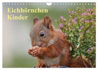 Eichhörnchen Kinder (Wandkalender 2025 DIN A4 quer), CALVENDO Monatskalender