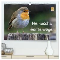 Heimische Gartenvögel (hochwertiger Premium Wandkalender 2025 DIN A2 quer), Kunstdruck in Hochglanz