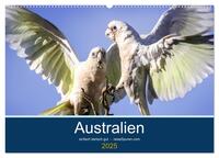 Australien - einfach tierisch gut (Wandkalender 2025 DIN A2 quer), CALVENDO Monatskalender