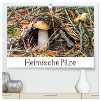 Heimische Pilze (hochwertiger Premium Wandkalender 2025 DIN A2 quer), Kunstdruck in Hochglanz