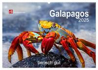 Galapagos 2025 tierisch gut (Wandkalender 2025 DIN A2 quer), CALVENDO Monatskalender