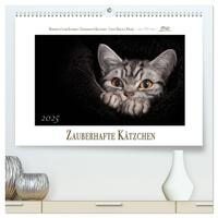 Zauberhafte Kätzchen (hochwertiger Premium Wandkalender 2025 DIN A2 quer), Kunstdruck in Hochglanz