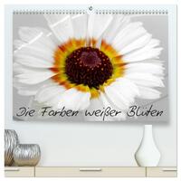 Die Farben weißer Blüten (hochwertiger Premium Wandkalender 2025 DIN A2 quer), Kunstdruck in Hochglanz