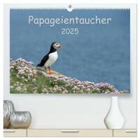 Papageientaucher 2025 (hochwertiger Premium Wandkalender 2025 DIN A2 quer), Kunstdruck in Hochglanz