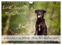 Eine bunte Mischung - wunderschöne Mischlingshunde / Geburtstagskalender (Wandkalender 2025 DIN A4 quer), CALVENDO Monatskalender