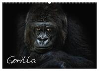 Gorilla (Wandkalender 2025 DIN A2 quer), CALVENDO Monatskalender