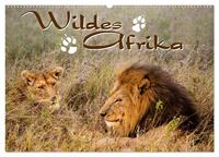 Wildes Afrika (Wandkalender 2025 DIN A2 quer), CALVENDO Monatskalender