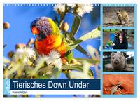 Tierisches Down Under - live erleben (Wandkalender 2025 DIN A3 quer), CALVENDO Monatskalender