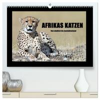 Afrikas Katzen (hochwertiger Premium Wandkalender 2025 DIN A2 quer), Kunstdruck in Hochglanz