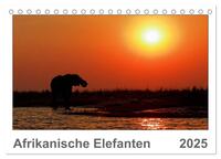 Afrikanische Elefanten (Tischkalender 2025 DIN A5 quer), CALVENDO Monatskalender