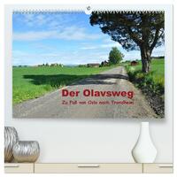 Der Olavsweg (hochwertiger Premium Wandkalender 2025 DIN A2 quer), Kunstdruck in Hochglanz