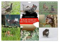 Emotionale Momente: Wilde Tiere in Deutschland (Wandkalender 2025 DIN A4 quer), CALVENDO Monatskalender