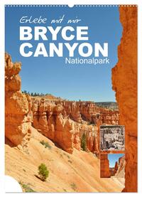 Erlebe mit mir den Bryce Canyon Nationalpark (Wandkalender 2025 DIN A2 hoch), CALVENDO Monatskalender