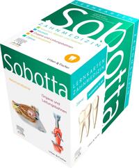Sobotta Lernkarten Anatomie für die Zahnmedizin