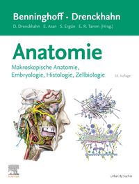 Benninghoff/Drenckhahn, Anatomie