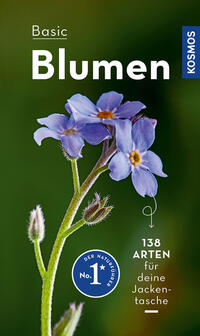 BASIC Blumen