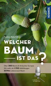 Welcher Baum ist das?