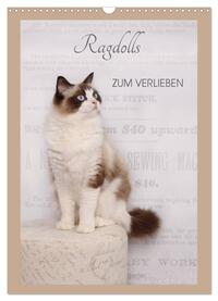 Ragdolls zum Verlieben (Wandkalender 2025 DIN A3 hoch), CALVENDO Monatskalender