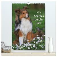 Mit Shelties durchs Jahr (hochwertiger Premium Wandkalender 2025 DIN A2 hoch), Kunstdruck in Hochglanz