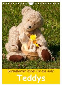 Bärenstarker Planer für das Jahr – Teddys (Wandkalender 2025 DIN A4 hoch), CALVENDO Monatskalender