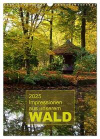 Impressionen aus unserem Wald (Wandkalender 2025 DIN A3 hoch), CALVENDO Monatskalender