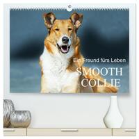 Ein Freund fürs Leben - Smooth Collie (hochwertiger Premium Wandkalender 2025 DIN A2 quer), Kunstdruck in Hochglanz