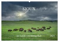 Sioux Im Lande von Sitting Bull (Wandkalender 2025 DIN A2 quer), CALVENDO Monatskalender