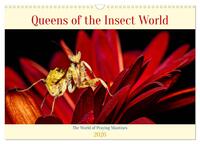 Queens of the Insect World (Wall Calendar 2026 DIN A3 landscape), CALVENDO 12 Month Wall Calendar