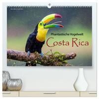 Phantastische Vogelwelt Costa Rica (hochwertiger Premium Wandkalender 2026 DIN A2 quer), Kunstdruck in Hochglanz