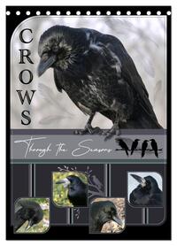 Crows - Through the Seasons (Desk Calendar 2026 DIN A5 portrait), CALVENDO 12 Month DeskCalendar