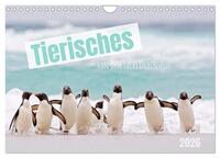 Tierisches von den Falklandinseln (Wandkalender 2026 DIN A4 quer), CALVENDO Monatskalender