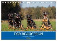 Der Beauceron (Wandkalender 2026 DIN A4 quer), CALVENDO Monatskalender
