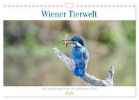 Wiener Tierwelt (Wandkalender 2026 DIN A4 quer), CALVENDO Monatskalender