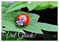 Viel Glück! (Wandkalender 2026 DIN A4 quer), CALVENDO Monatskalender
