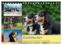 Entlebucher - Temperamentvolle Schweizer Sennenhunde (Tischkalender 2026 DIN A5 quer), CALVENDO Monatskalender